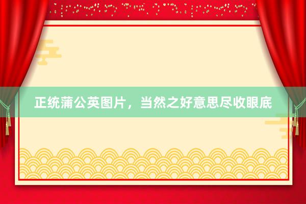 正统蒲公英图片，当然之好意思尽收眼底