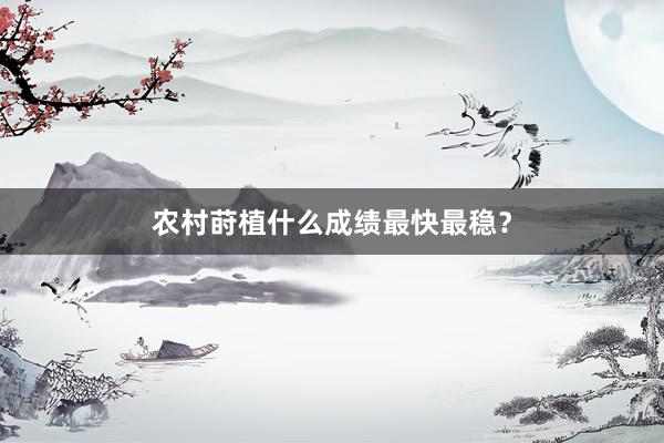 农村莳植什么成绩最快最稳？