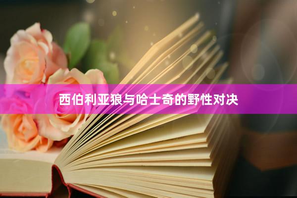 西伯利亚狼与哈士奇的野性对决