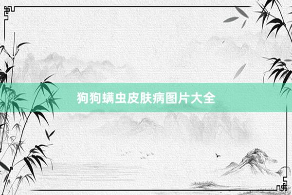 狗狗螨虫皮肤病图片大全