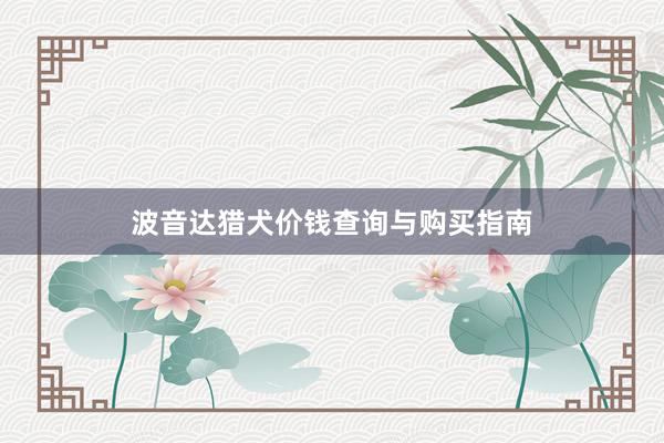 波音达猎犬价钱查询与购买指南